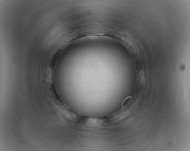 X0000094790234200711161441