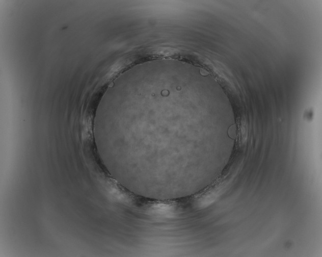 X0000094790236200711161441