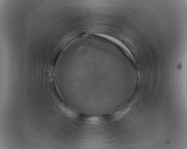 X0000094790237200711161441