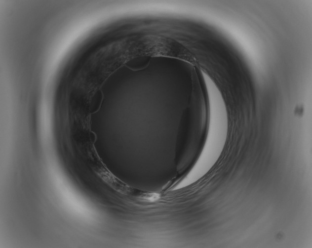 X0000094790239200711161441