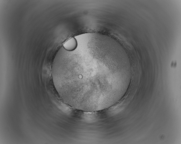 X0000094790240200711161441