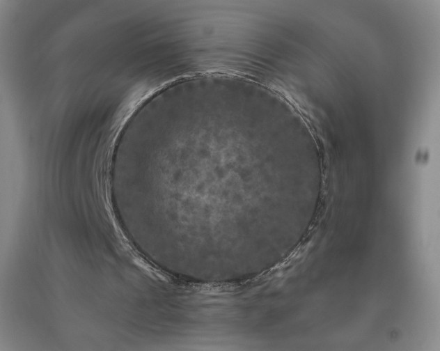 X0000094790241200711161440