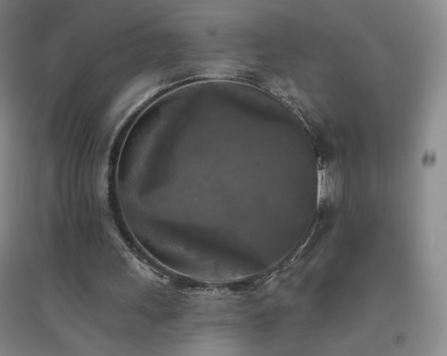 X0000094790243200711161440