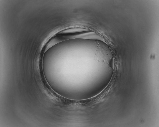 X0000094790244200711161440