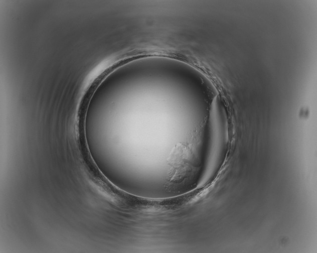 X0000094790246200711161440