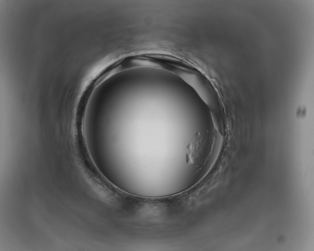 X0000094790248200711161440