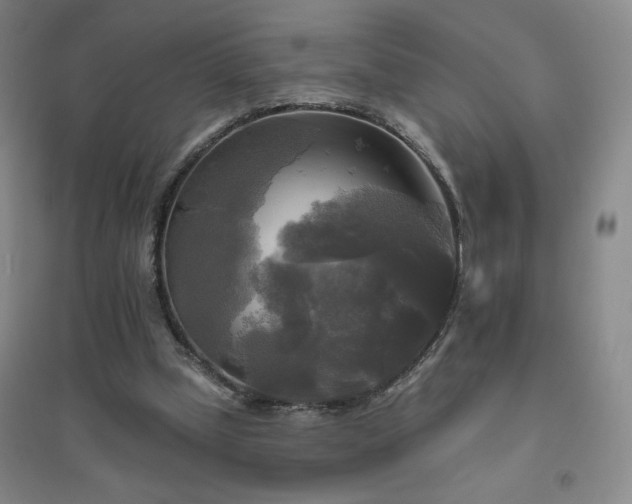 X0000094790249200711161440