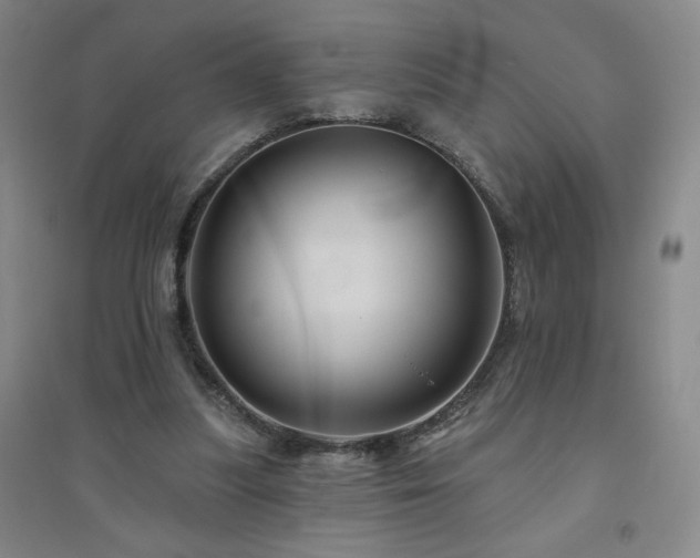 X0000094790251200711161440