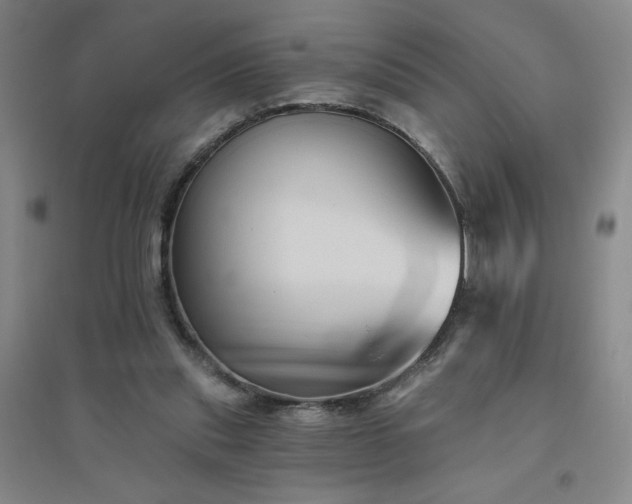 X0000094790253200711161440