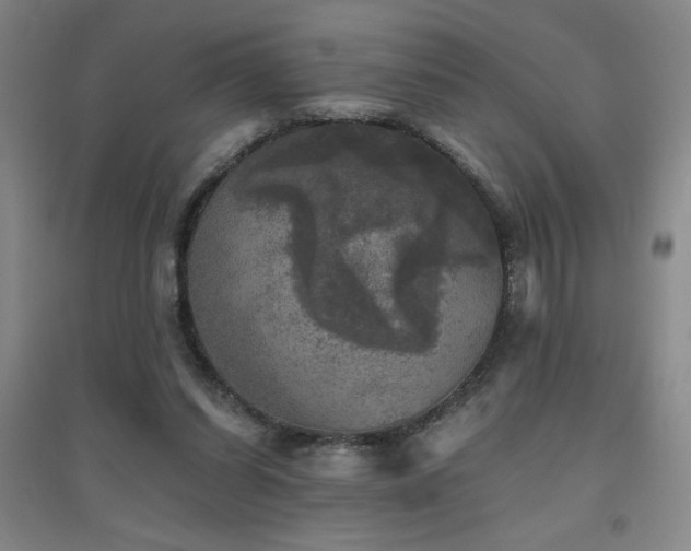 X0000094790254200711161440