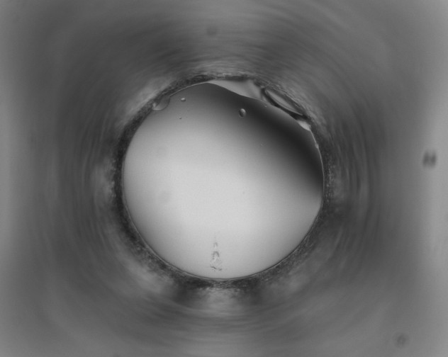 X0000094790255200711161440