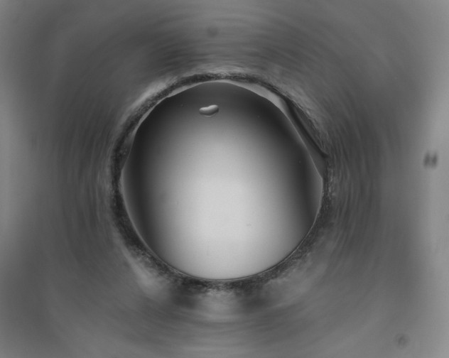 X0000094790256200711161440