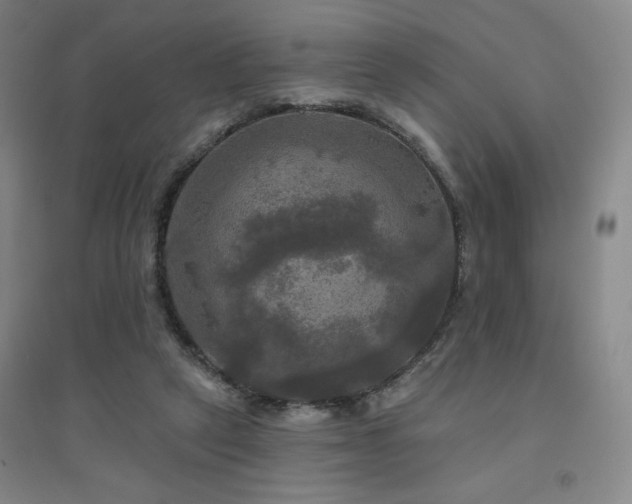 X0000094790257200711161440