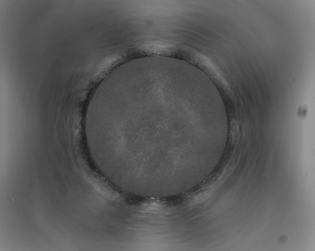 X0000094790259200711161440