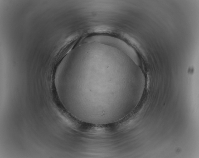 X0000094790260200711161440