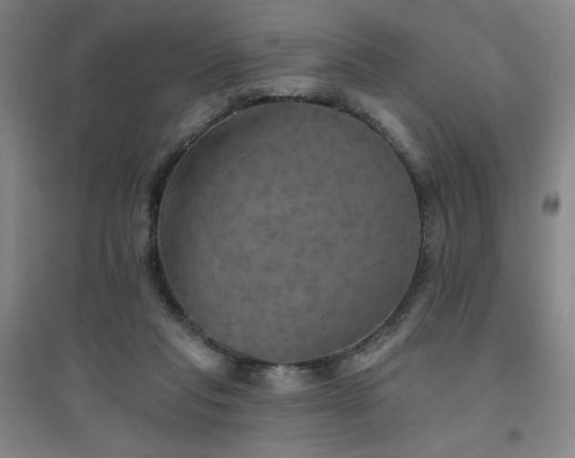 X0000094790261200711161441