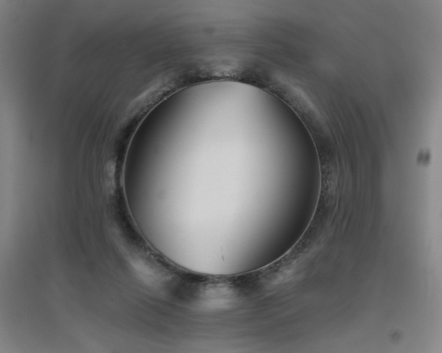 X0000094790262200711161441