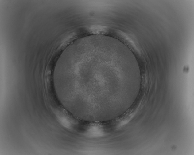 X0000094790263200711161441