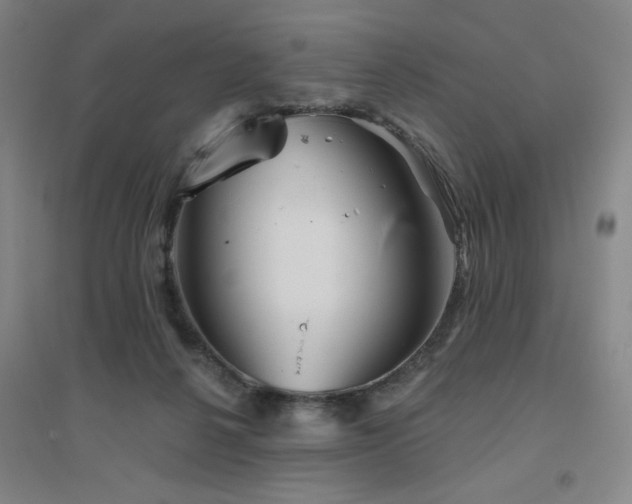 X0000094790264200711161441