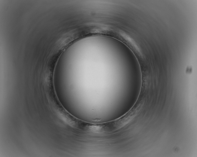 X0000094790265200711161441