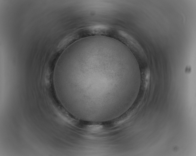 X0000094790266200711161441