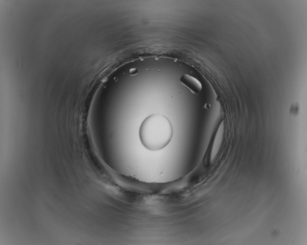 X0000094790268200711161441