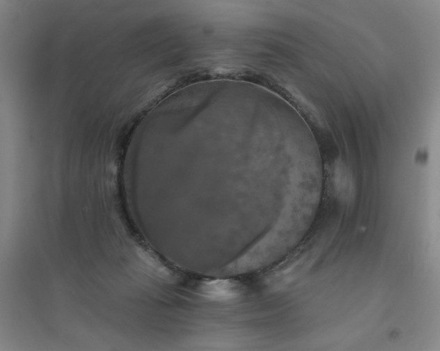 X0000094790269200711161441