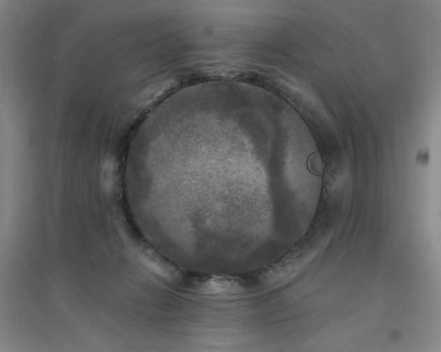 X0000094790270200711161441