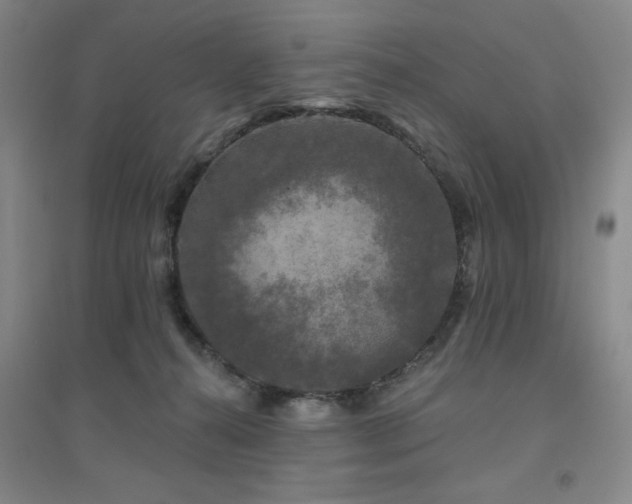 X0000094790272200711161441