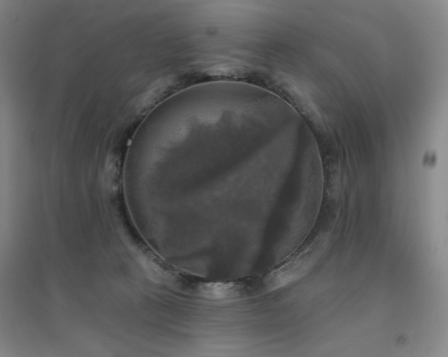 X0000094790273200711161441