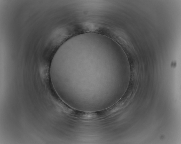 X0000094790274200711161441