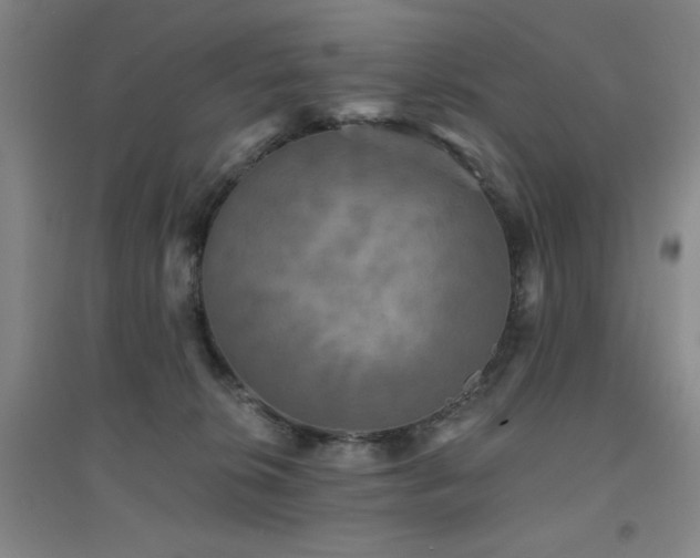 X0000094790276200711161441