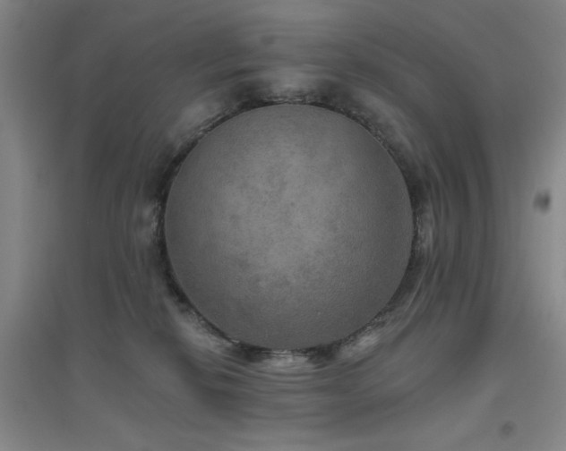 X0000094790278200711161441