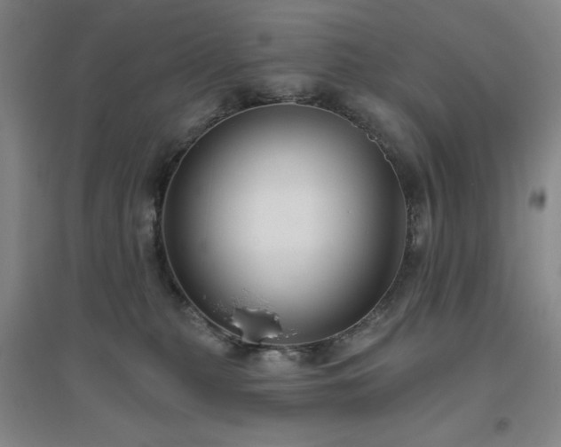 X0000094790279200711161441