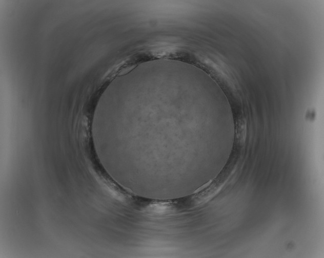 X0000094790280200711161441