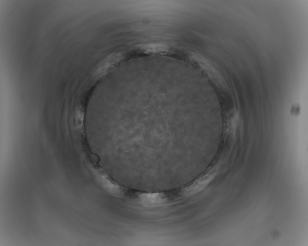 X0000094790281200711161441