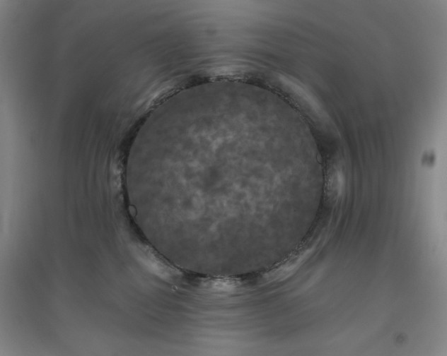 X0000094790282200711161441