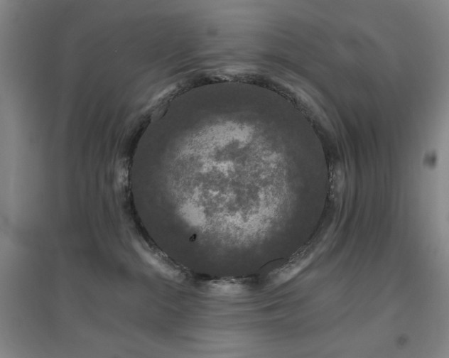 X0000094790284200711161441