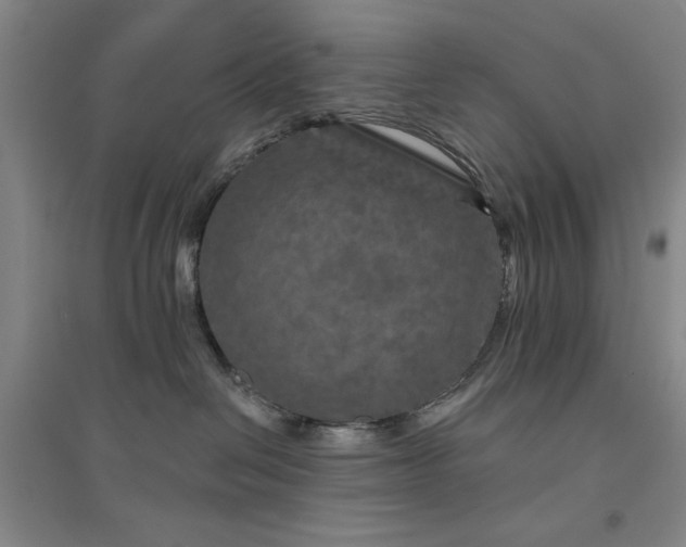 X0000094790286200711161441