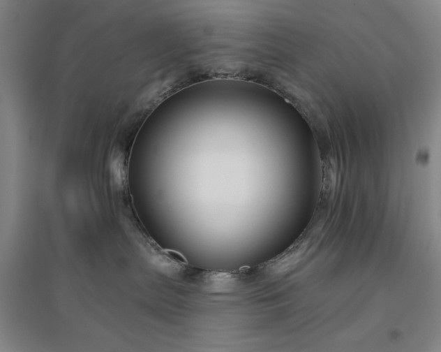 X0000094790287200711161441