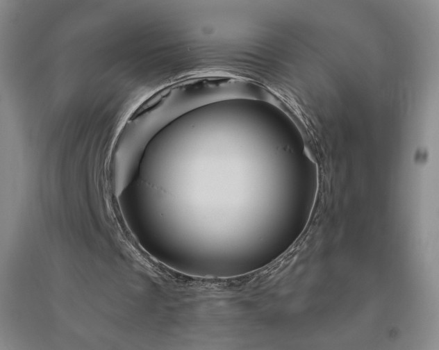 X0000094790289200711161440