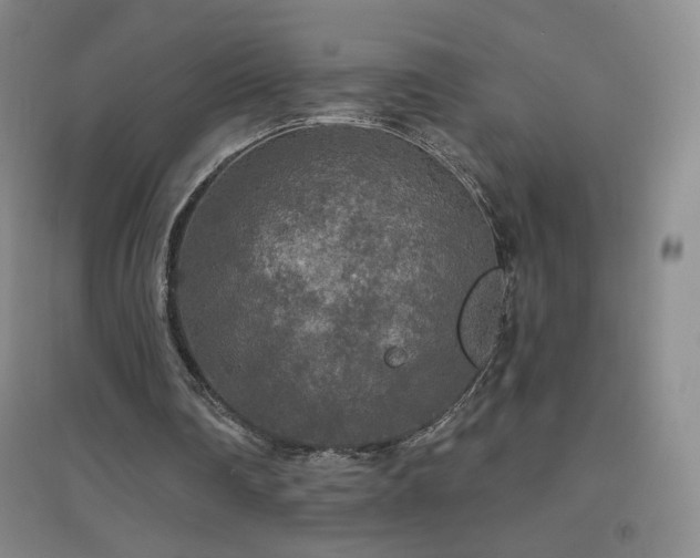 X0000094790290200711161440