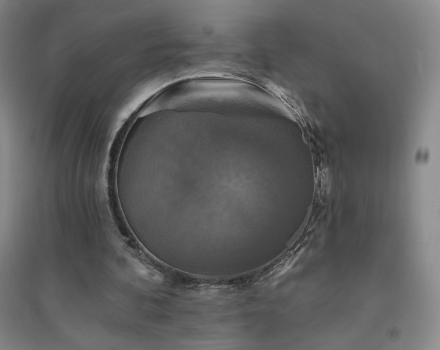 X0000094790292200711161440