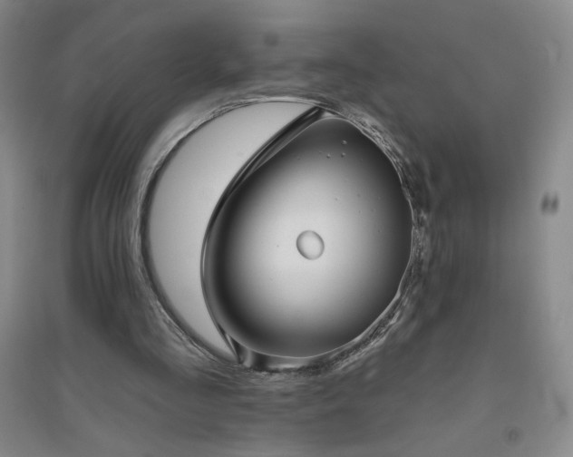 X0000094790293200711161440