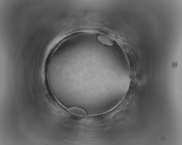 X0000094790294200711161440