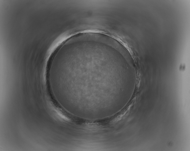 X0000094790296200711161440