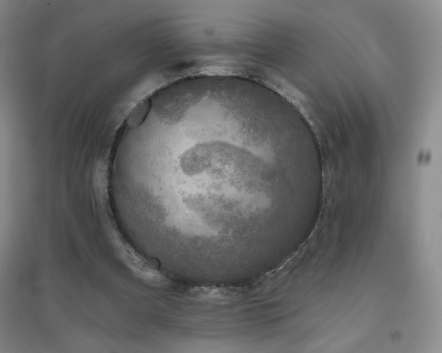 X0000094790297200711161440