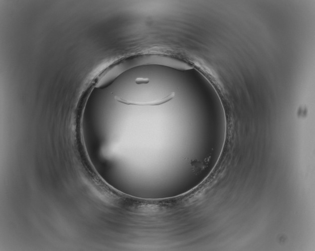 X0000094790298200711161440