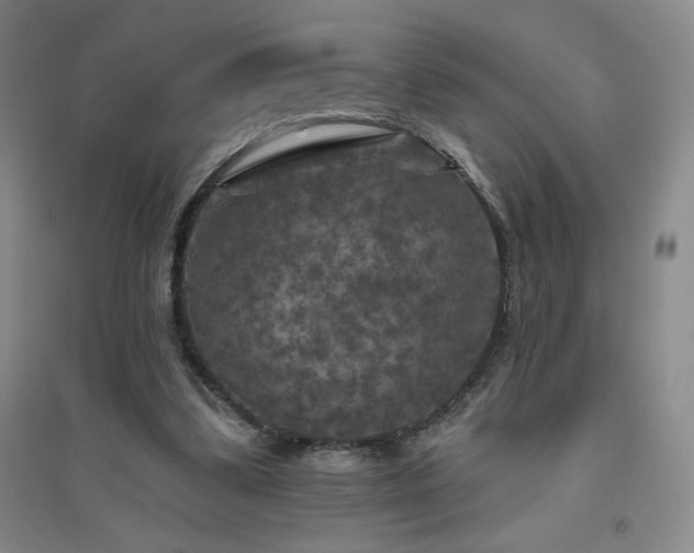 X0000094790299200711161440