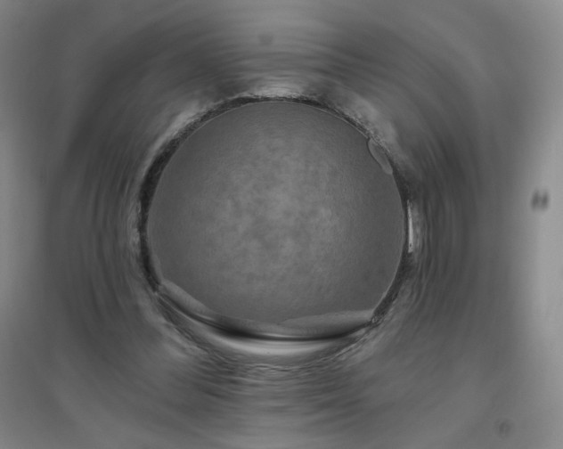 X0000094790300200711161440